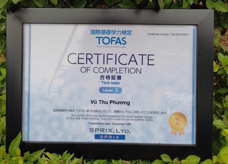 TOFAS - Cuộc thi đánh giá năng lực Toán toàn cầu chính thức có mặt tại Việt Nam - Ảnh 2.