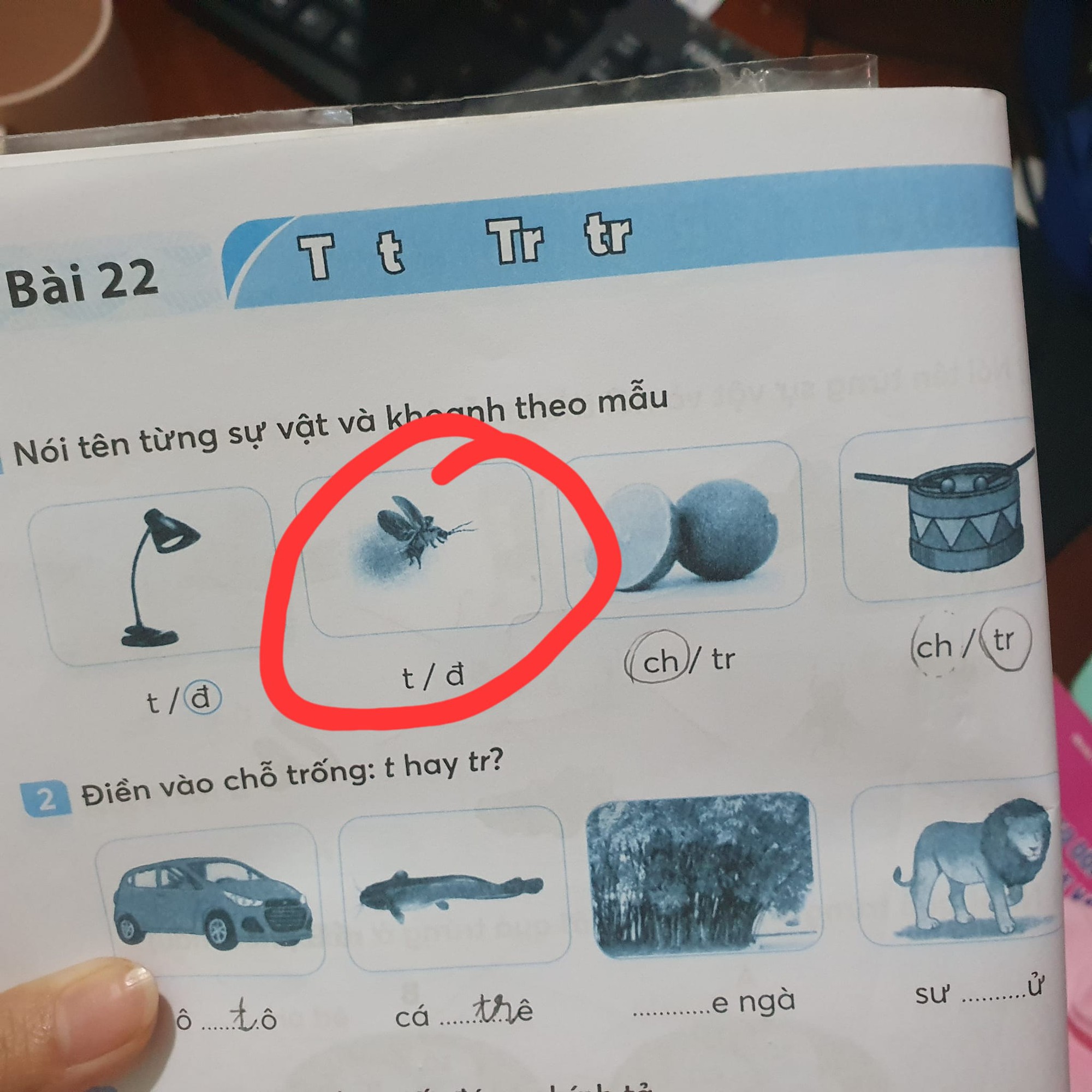 Một bức ảnh trong SGK khiến hội phụ huynh tranh cãi: Rốt cuộc con này là con gì? - Ảnh 1.