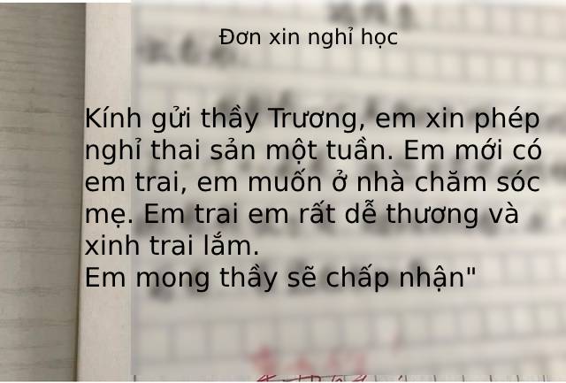 Thầy giáo cười chảy nước mắt với lý do xin nghỉ học khó đỡ của em học sinh cấp 1: Em xin phép được nghỉ thai sản! - Ảnh 1.