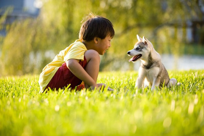 5 lợi ích khi trẻ nuôi thú cưng - Ảnh 1.