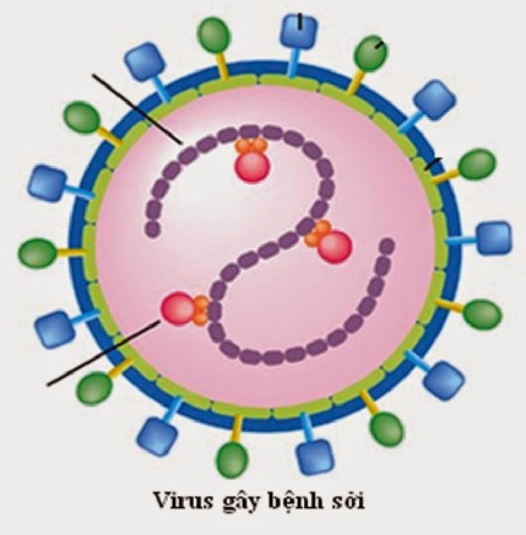 Bệnh sởi có thể bùng nổ thành vụ dịch - Ảnh 2.