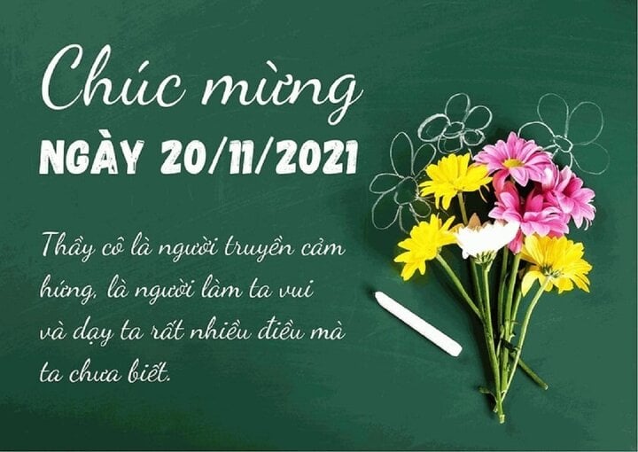 Lời chúc ngày Nhà giáo Việt Nam 20/11 tặng thầy giáo - Ảnh 1.