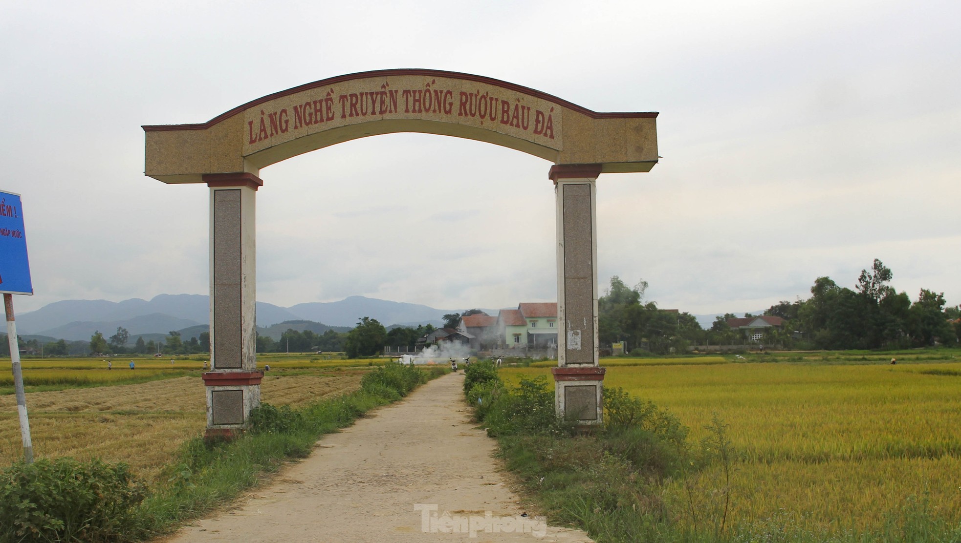 Bánh ít lá gai, nem chợ Huyện, chả ram tôm đất và rượu bầu đá Bình Định được vinh danh - Ảnh 3.