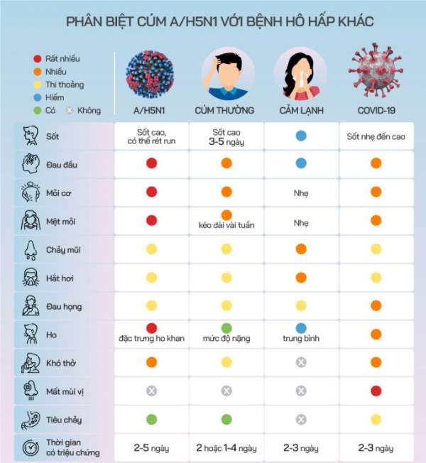 Cúm gia cầm H5N1 nguy hiểm thế nào? 2